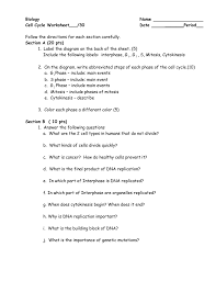 What happens in the cell if an. Biology Name Cell Cycle Worksheet 30