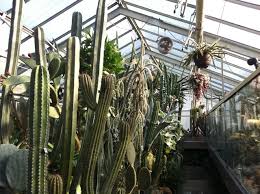 Gerade für interessierte naturfotografen bieten sich bei soviel pflanzenreichtum jede menge motive. Botanischer Garten Erlangen Hummelstein
