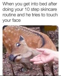 When You Get Into Bed After Doing Your Korean 10 Step Routine Funny Animal Pictures Animal Memes Funny Pictures