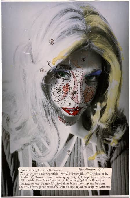 Work by Lynn Hershman Leeson