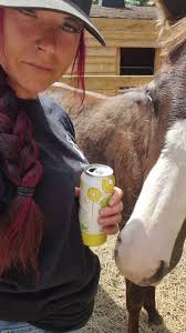 Jessie Bleier Horses