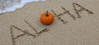 We did not find results for: Hawaii One Of Top 10 Safest States To Spend Thanksgiving Hawaii News Online Independent Trusted