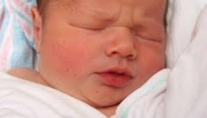 Oswego County TodayPaul Charles Litchison, 88