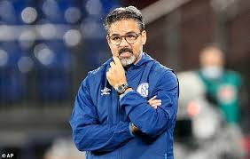 Star search with ed mcmahon. Schalke Sack Struggling Coach David Wagner Just Two Games Into The New Season Daily Mail Online