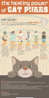 Snuggling up to your furry companion can actually be good for you. Til The Frequency Of A Cats Purr Is Healing Healmovement