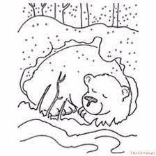 okul oncesi kis uykusuna yatan hayvanlar etkinlikleri ile ilgili gorsel sonucu animals that hibernate bear coloring pages kindergarten coloring sheets