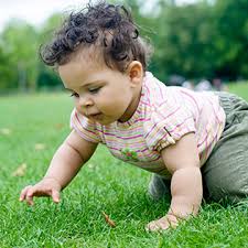 Even if your baby is a little behind and is at the latter end of this range. When Do Babies Start Crawling Teaching Your Baby To Crawl