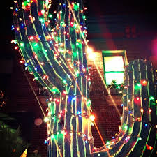 3300 wisconsin ave nw, washington, dc 20016. Cactus Cantina Mexican Restaurant In Cathedral Wesley Heights Mclean Gardens
