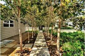 Nice Layout For A Backyard Orchard Backyard Layout Garden Layout Backyard Design Plans