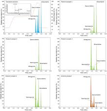 Image result for Mitragyna rubrostipulata