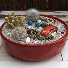 How to care for your cacti & succulents. 70 Indoor And Outdoor Succulent Garden Ideas Shelterness