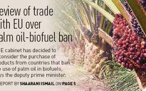 Palm oil producers warned curbs on shipments risk retaliation. Review Of Trade With Eu Over Palm Oil Biofuel Ban Pressreader