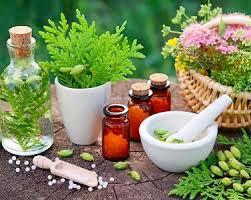 Contraindicații și efecte secundare în consumul de rhodiola rosea ce este rhodiola rosea ? Rhodiola Rosea Beneficii Recomandari 8 Motive Sa Consumi Rhodiola