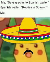 Pin By Cadence Barreda On Memes And Dreams Pikachu Memes Stupid Funny Memes Funny Memes