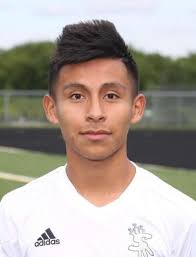 Boys soccer: Presenting the Fox Valley All-Area team