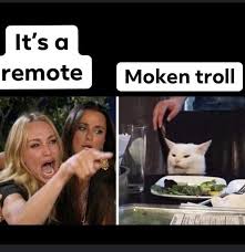 Woman Yelling At Cat Memes That Perfectly Showcase Strange Southern Slang Funny Memes Funny Car Memes Cat Memes