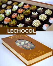 Wear it proudly, you are now poor. Le Chocola Sweets Chocolate Chocolatelovers Lechocola