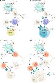 Jan 06, 2015 · tuesday, jan. Type 1 Diabetes Mellitus As A Disease Of The B Cell Do Not Blame The Immune System Nature Reviews Endocrinology