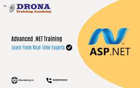 Dot Net Training Institute In South Delhi Train Learning Training Academy