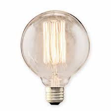 40 Watt Vintage Globe Edison Bulb Shades Of Light
