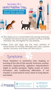 Pin On All Creatures Care Cottage Vetenirary Hospital