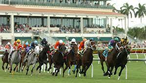 Thoroughbred horse racing handicapping, picks, and information. Horse Racing Nation Horseracingnation Com