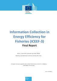 Free fire pc is a battle royale game developed by 111dots studio and published by garena. Pdf Information Collection In Energy Efficiency For Fisheries Iceef 3