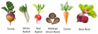 List of interesting vegetable names. Fruits And Vegetables Vocabulary In English Eslbuzz Learning English