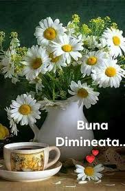 O zi binecuvântată mesaje pentru suflet. Prietenia Buna Dimineata O Zi Minunata Dragii Mei Facebook