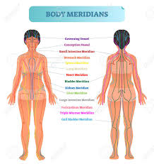 Body Meridian System Vector Illustration Scheme Chinese Energy