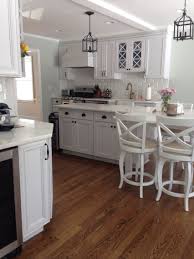 Black And White Spanish Tile Backsplash Kitchen Renovation Cobsa Spanish Tile Backsplash Bianca Rhino Quartzite Counters Omega Dynasty Whi Kitchen Remodel Design Kitchen Renovation Kitchen Remodel
