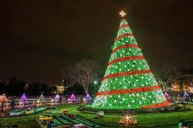 Best 10 Ways To Celebrate The Holidays In Washington Dc Christmas In Dc Holiday Lights Display National Christmas Tree