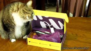 Manage all of your subscription in one place. Sushi And Runt S Cat And Dog Blog Whiskerbox Review Cat Subscription Box