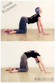 Think Beyond Cat And Cow Yogalifestyle Yoga Asanas Iyengar Yoga Yoga Fitness