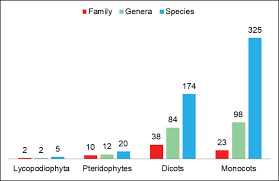 Image result for Hydrostachys insignis