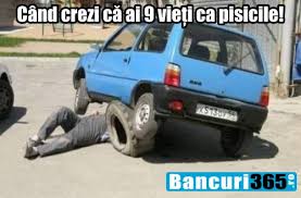 Filme si muzica pe 220 Bancuri Tari Cu Faze Petrecute In Service Uri Auto
