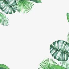 Download Green Fresh Leaves Border Texture Leave The Png Border Texture Leave Png Green Clipart Fresh Clipart Leaf C Fundo De Pintura Bordas Vintage Imagens Para Slides PSD Mockup Templates