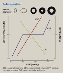 Commercial buildings and restaurants in new york are also required to have working carbon monoxide alarms. Applied Cerebral Physiology Sciencedirect