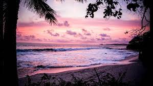 Palm tree sunset drawings paint drawing color and design in. Purple Sunset Pictures Hq Download Free Images On Unsplash