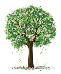 Árbol