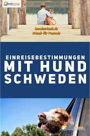 Urlaub Mit Hund Einreisebestimmungen Fur Schweden Schweden Ist Das Perfekte Reiseland Fur Einen Urlaub Mit Hund Gerade In E Urlaub Mit Hund Hund Reisen Hunde