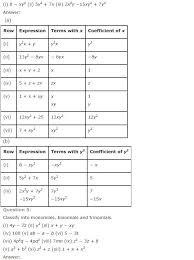 Ncert Solutions For Class 7 Maths Chapter 12 Algebraic Expressions Exercise 12 1 Ncertsolutions Cbseclass Algebraic Expressions Maths Ncert Solutions Math