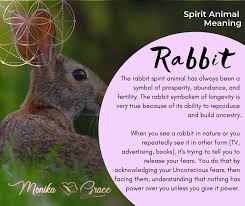 Because of this, rabbit represents sensitives and seers and their psychic powers. Pin On Zen