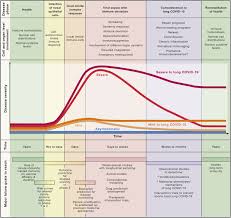 Let's talk about domain first. Covid 19 And The Human Innate Immune System Sciencedirect
