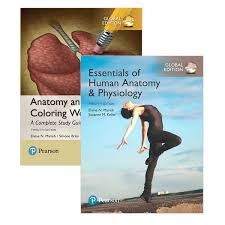 An easier and better way to learn anatomy. Essentials Of Human Anatomy Physiology Global Edition Anatomy And Physiology Coloring Workbook A Complete Study Guide Global Edition By Elaine N Marieb 9781488687358 Booktopia