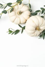 Find the perfect white pumpkin background stock photos and editorial news pictures from getty browse 2,148 white pumpkin background stock photos and images available, or start a new search. Fall Blogger Photo With White Pumpkins Give Your Website Brand Of Business A Fall Decor Make Ov Pumpkin Wallpaper Cute Fall Wallpaper Fall Backgrounds Iphone