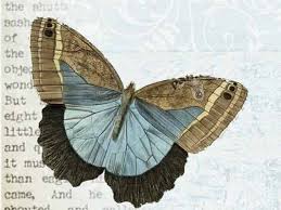 Butterfly Inspiration We have thousands of inspirational and motivationa. butterfly inspiration
