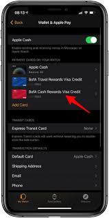 Apple cash from credit card. How To Use Apple Pay Cards On Your Apple Watch