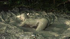 Mud puddle visuals porn