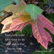 Nature Quote About Leaves Turning By Elizabeth Lawrence Nature Quotes Nature Plant Leaves